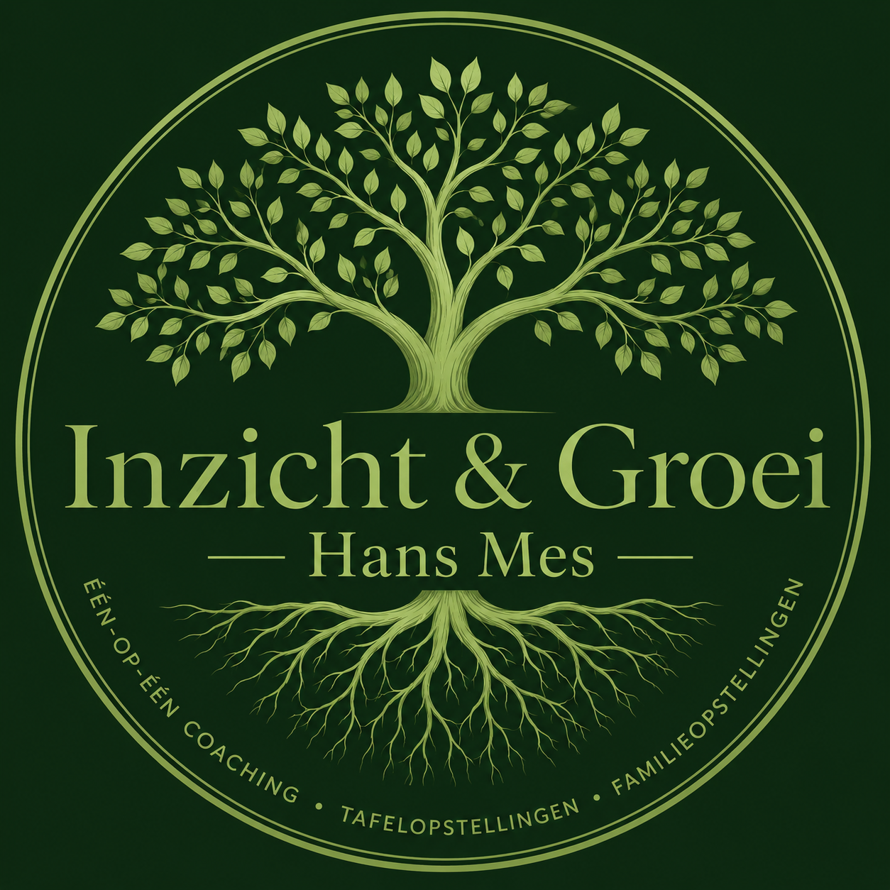 Inzicht en Groei